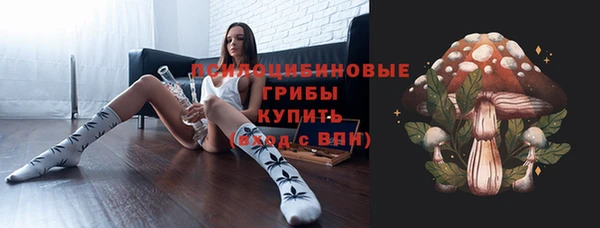 СК Касимов