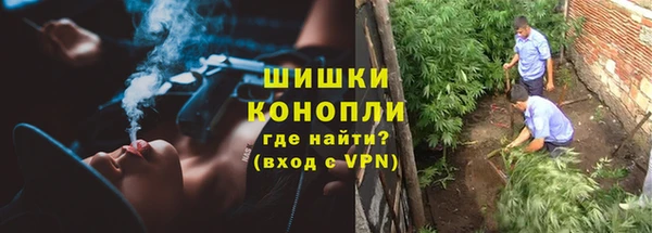 ешки Иннополис
